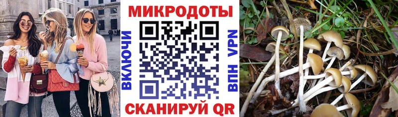 KRAKEN зеркало Барыш Псилоцибиновые грибы мухоморы